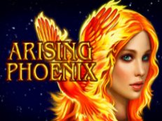 arising phoenix