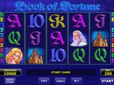 book of fortune