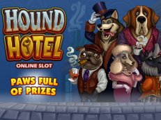 hound hotel