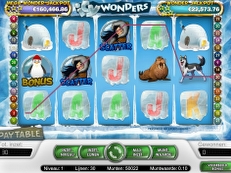 icy wonders