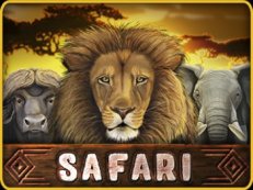 safari