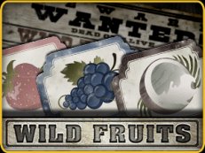 wild fruits