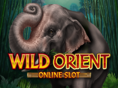 wild orient