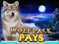 wolf pack pays