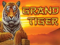 grand tiger