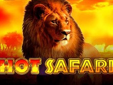 hot safari