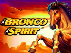 bronco spirit