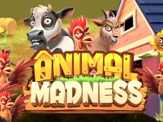 Animal Madness gokkast