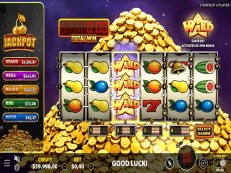 Starfruit 4 Player gokkast